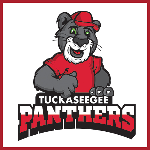 west-blvd-ministry-partners-tuckaseegee-panthers